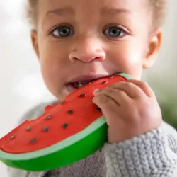 Mordedor Bebé Wally the Watermelon – Oli & Carol