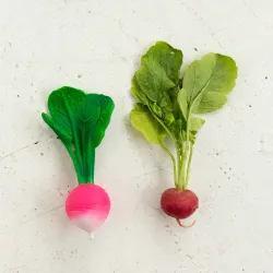 Mordedor Bebé Ramona the Radish – Oli & Carol