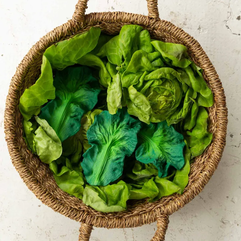 Mordedor Bebé Kendall the Kale – Oli & Carol