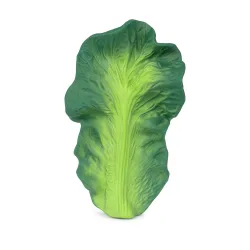 Mordedor Bebé Kendall the Kale – Oli & Carol